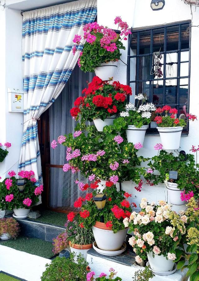 Casa Alhambra - Centro Historico Con Jardin Privado Lejlighed Granada Eksteriør billede