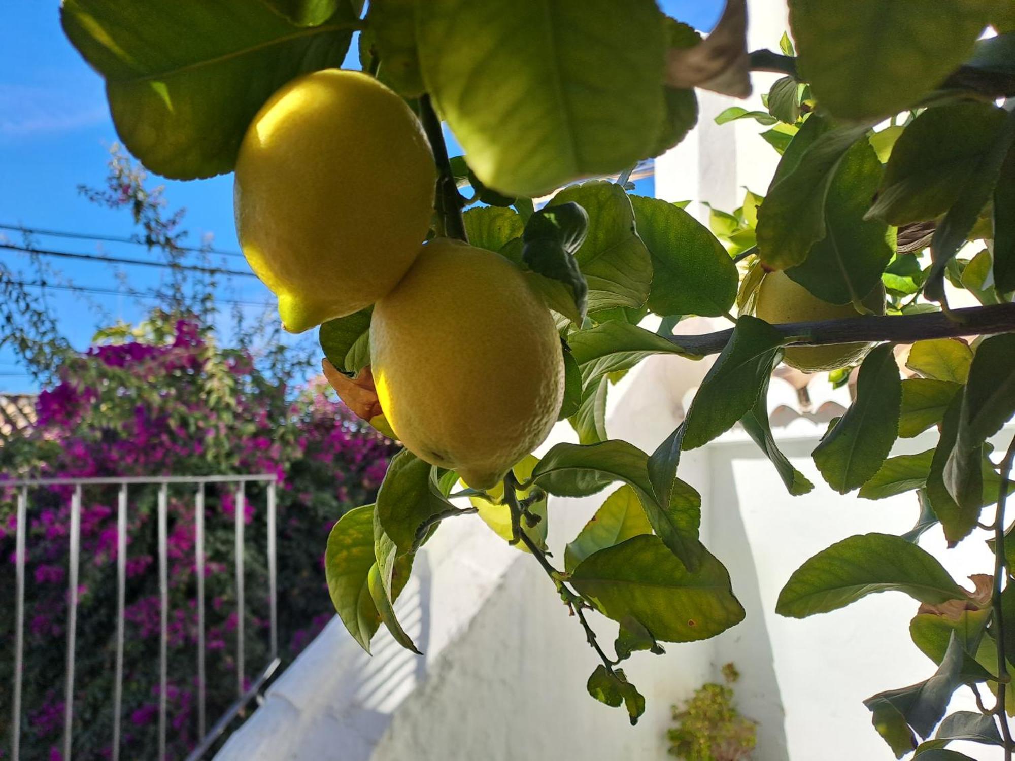 Casa Alhambra - Centro Historico Con Jardin Privado Lejlighed Granada Eksteriør billede