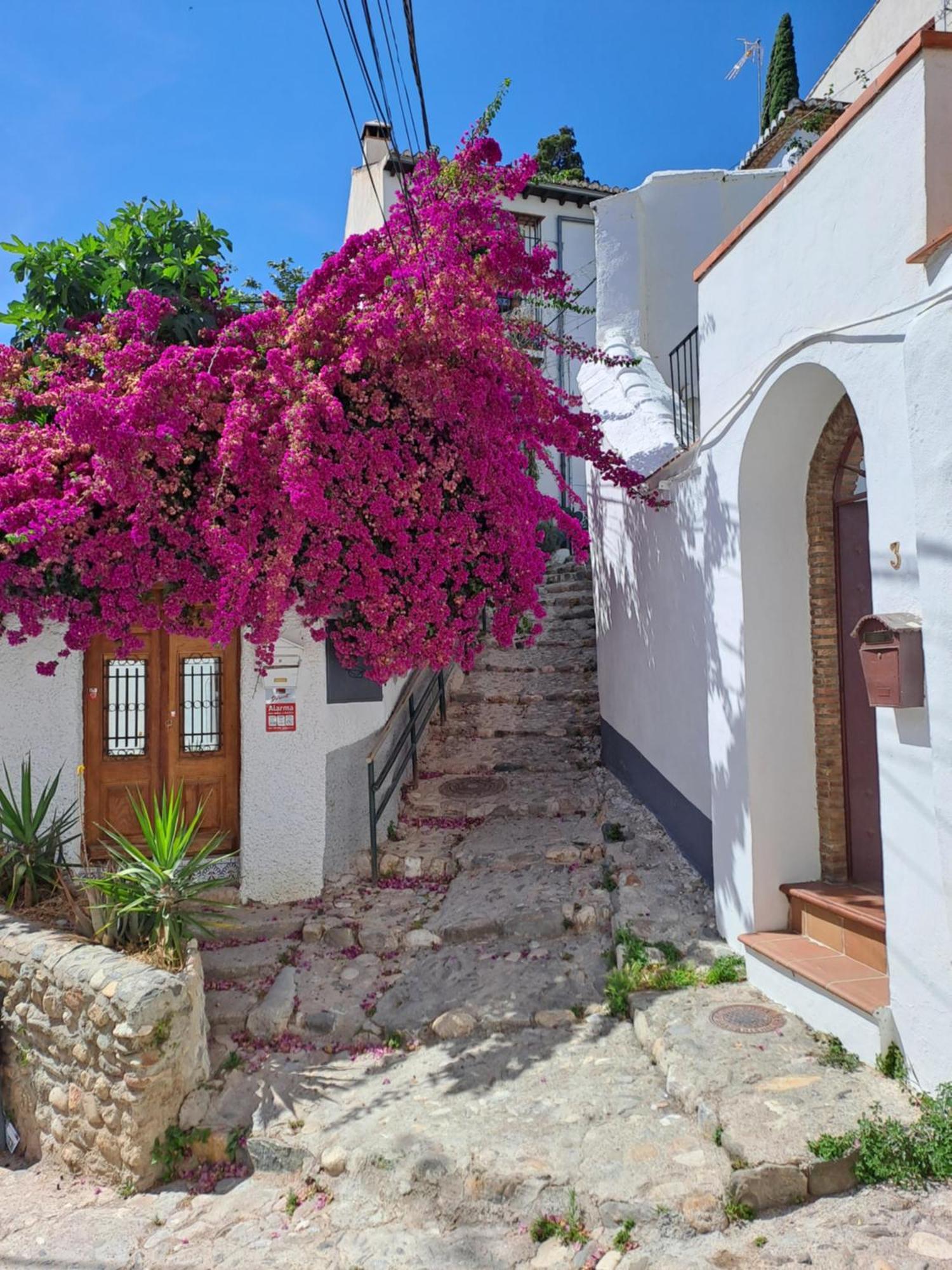 Casa Alhambra - Centro Historico Con Jardin Privado Lejlighed Granada Eksteriør billede
